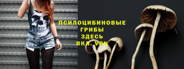 прущие грибы Беломорск