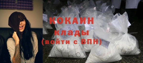 прущие грибы Беломорск