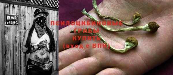 прущие грибы Беломорск