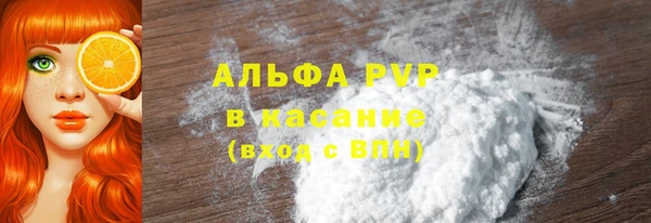 прущие грибы Беломорск