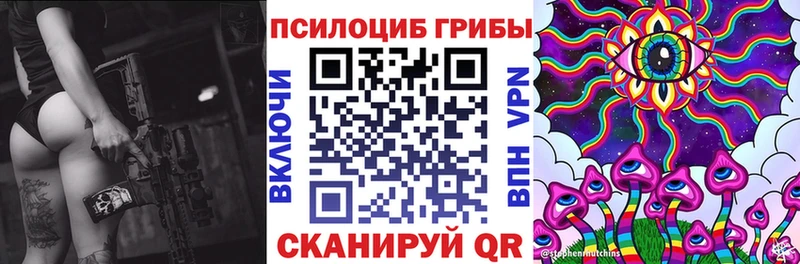 где продают наркотики  OMG рабочий сайт  Галлюциногенные грибы Psilocybine cubensis  Заозёрный 