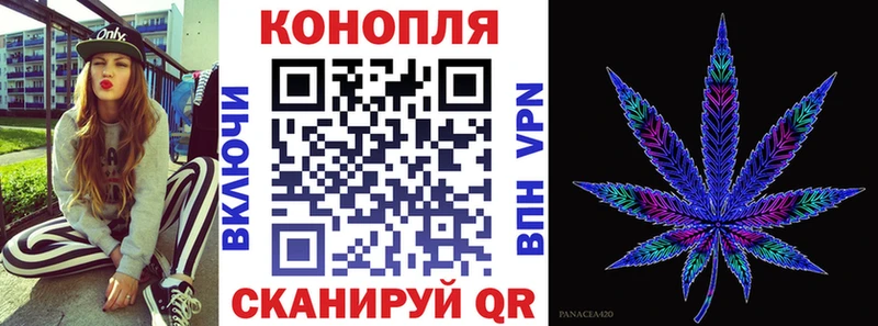 Бошки Шишки гибрид  Заозёрный 